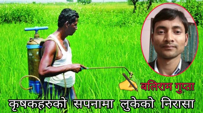 कृषकहरुको सपनामा लुकेको निरासा