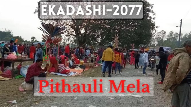 हरिबोधन एकादशी मेला : कावासोती पिठौली