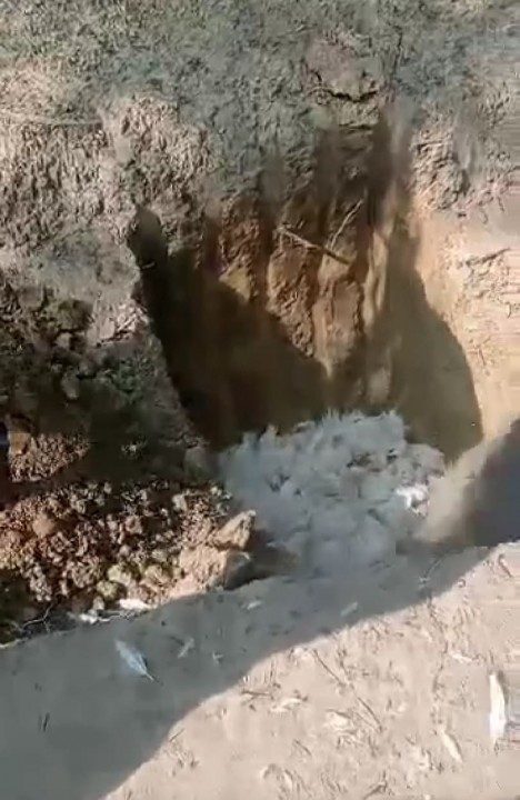 वि.ओ.पि  विजयनगरमा अबैध कुखुरा  नष्ट