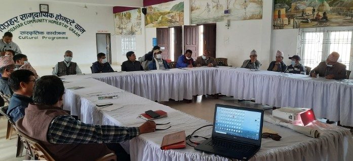 डल्फिन जाेगाउन सराेकारवाला विच अन्तरक्रिया