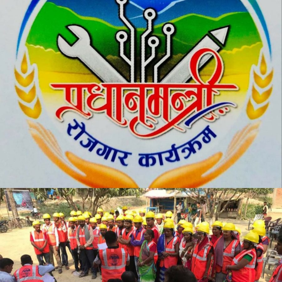 प्रधानमन्त्री रोजगार कार्यक्रममा आबद्ध हुन पाल्हिनन्दन गाउपालिकाको आग्रह
